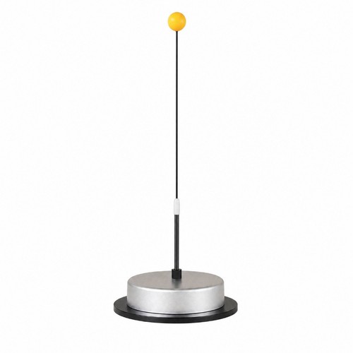 Allenatore tennis tavolo - di, da