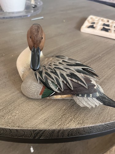Waterfowl collezione sauvagine - waterfowl,