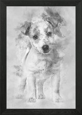 Jack Russell cucciolo 3 mesi