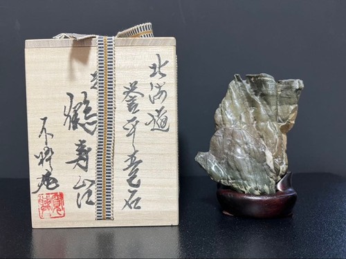 Bonsai suiseki bonseki - bonsai, di