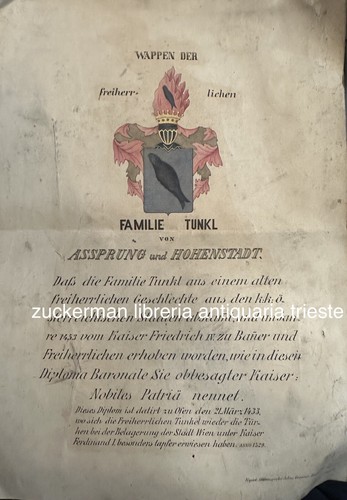 Diploma baronale grauner - baronale,