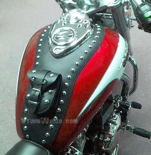 Triumph america - triumph, (02-15)