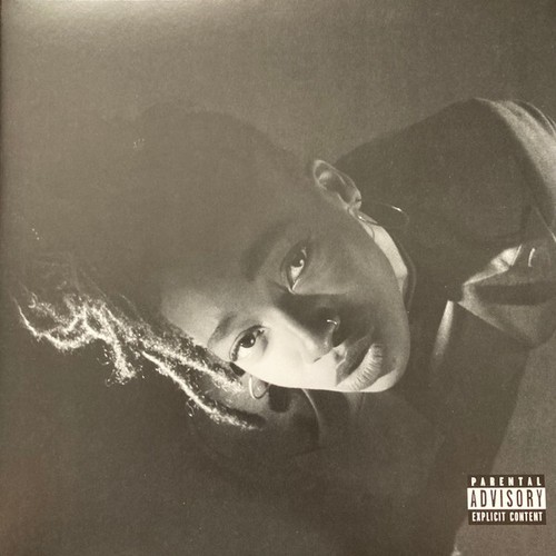 Little simz grey area - simz,