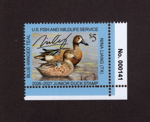 Jds34 timbro junior duck - -,