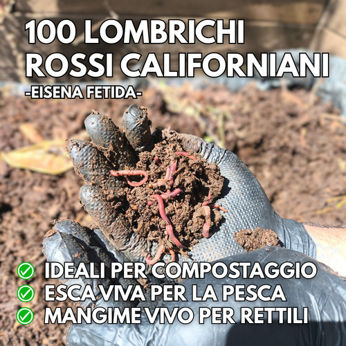 100 lombrichi rossi - 100,