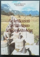 Fortificazioni del vallo - fortificazioni,