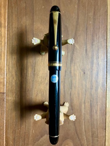 Pilot custom penna - pilot,