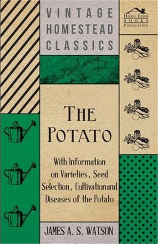 The potato with information - potato,