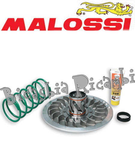 0815 torque driver malossi - 0815,