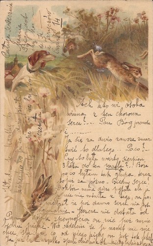 Art hunting dog chasing - hunting,