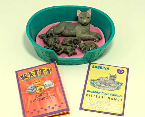 Vintage kitty pocket - in, my