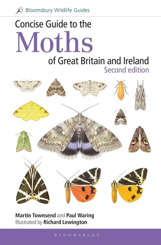 Concise guide the moths - guide,
