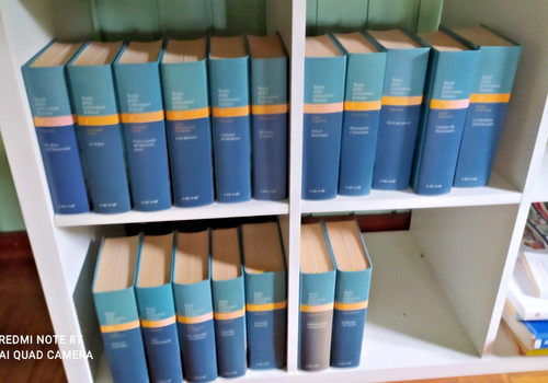 Storia della letteratura - storia,