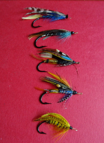 Esche pesca a mosca - da,
