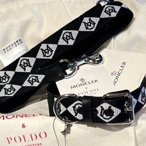 Set guinzaglio collare per - set,