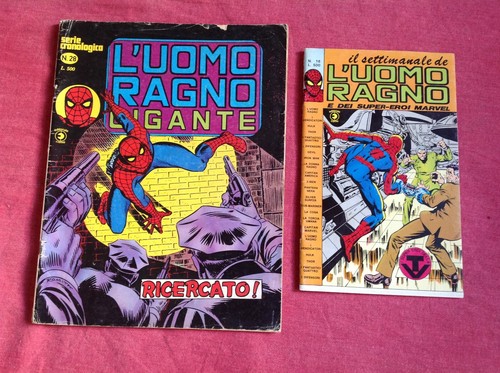 Lotto uomo ragno gigante - ragno, #