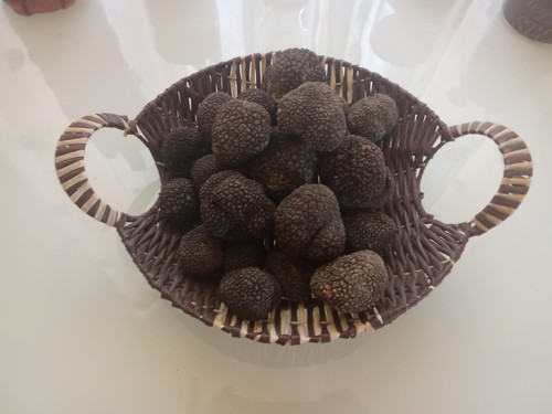 tartufo fresco
