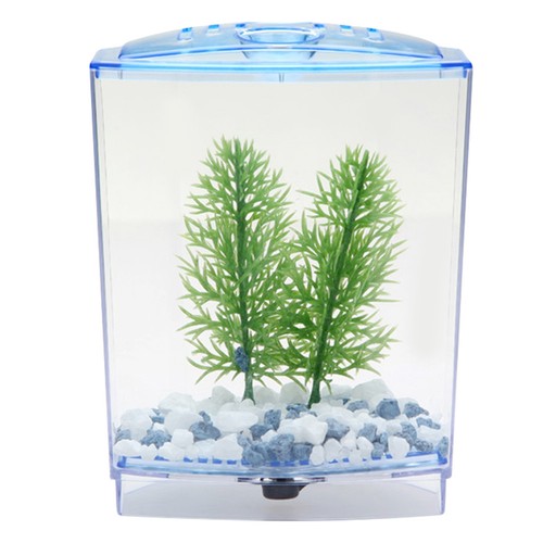 Mini acquario con acqua - acquario,