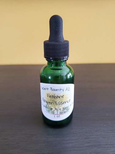 Fleabane flower essence infuso - essence,
