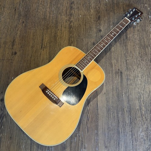 Chitarra acustica takamine - chitarra,