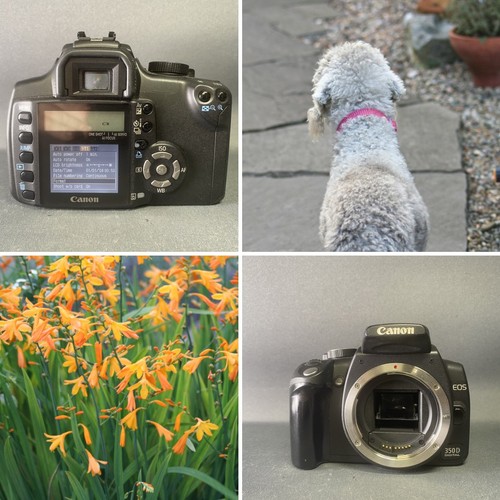 Canon eos 350d fotocamera - eos,