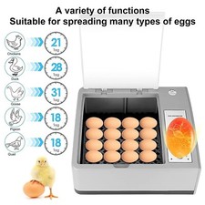 Incubatrice Digitale Automatica per 16 Uova con Girauova Quaglie Pulcini Anatre