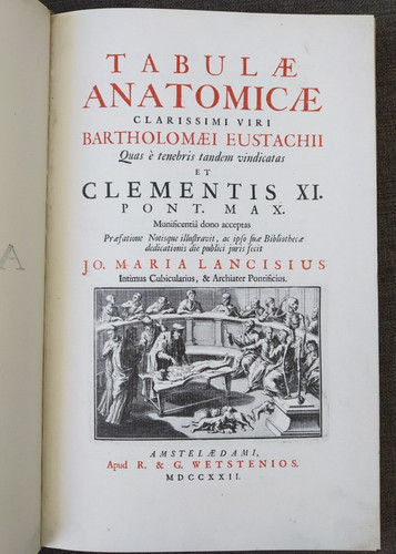 Bartolomeo - (anastatica),