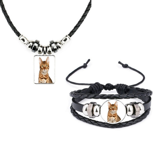 Set bengal cat - cat, black