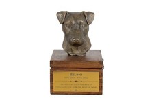 Jack Russell Terrier Urna