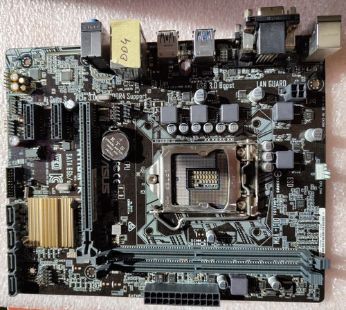Scheda madre asus - scheda,