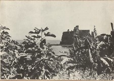 Cartolina Pubblicitaria Il Quotidiano Castello Aci Trezza Catania Non viaggiata