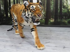 Montaggio tigre tassidermia