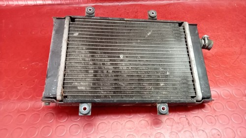 Radiatore acqua qooder quadro - radiatore,