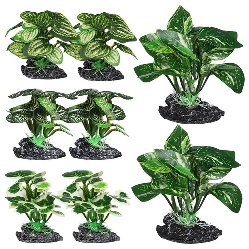 Pcs decorazione del - ,