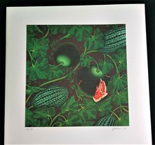 Piero GILARDI - Cartella di