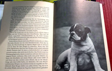 J.DE BAIRACLI. LEVY GUIDA ALLEVAMENTO CANI GIOVANI DIE AUFZUCHT JUNGER HUNDE USD