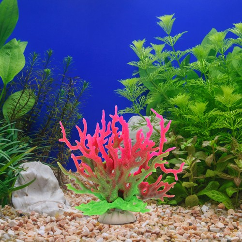 Serbatoio pesce paesaggio - ,
