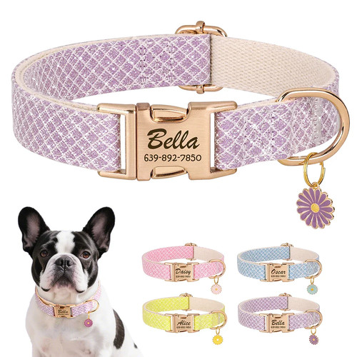 Collare cane personalizzato - cane,