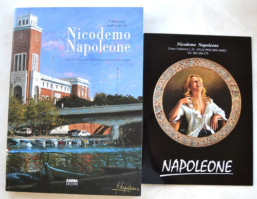 Nicodemo napoleone libro - nicodemo,