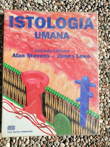 Alan stevens james lowe - stevens,,