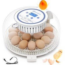 Sailnovo Incubatrice Per Uova