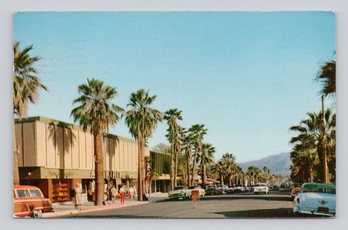 Cartolina palm canyon - palm,