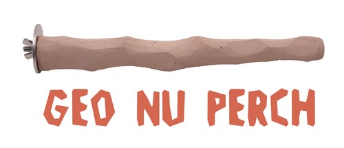 Pappagallo mago geo persico - pappagallo, nu