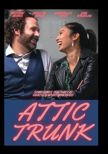 Attic trunk andrew - attic,