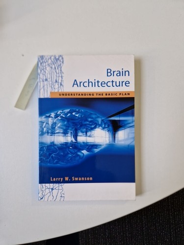 Brain architecture - brain,