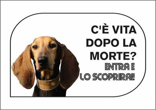 Cartello segnaletico segugio - segnaletico,