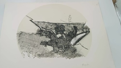 Litografia attilio - litografia,