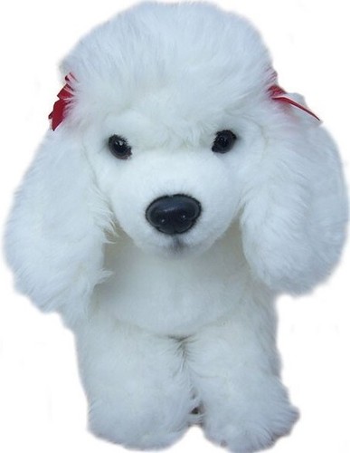 Peluche cucciolo barboncino