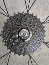 Pacco Pignoni Shimano Dura-Ace