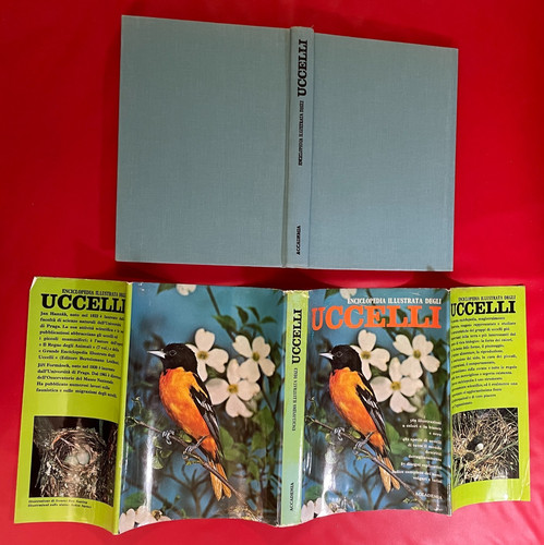 Enciclopedia illustrata degli - enciclopedia,